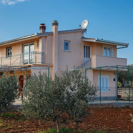 Guest House Pelja Plano Εξωτερικό φωτογραφία